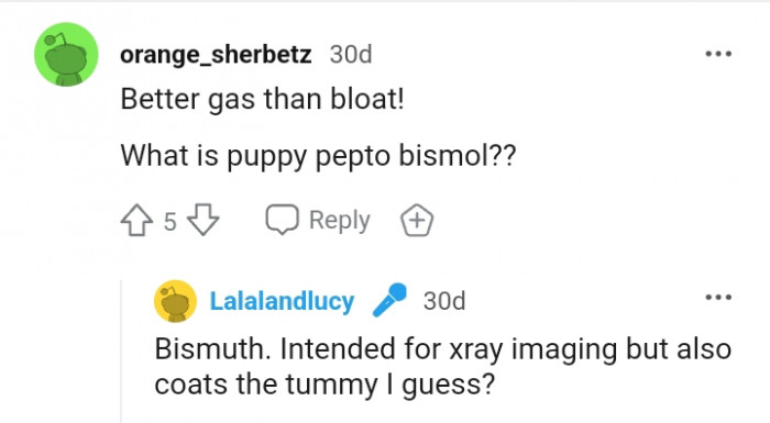 It's better the dog had gas than bloat