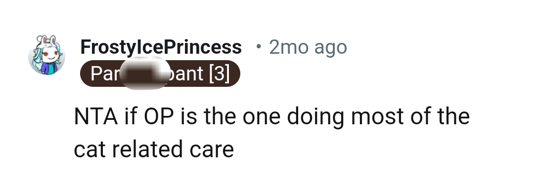 Cat related care