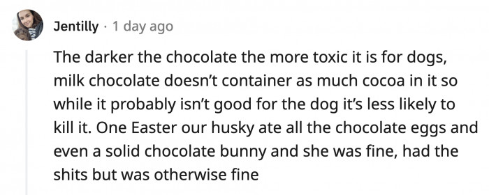 This dog is really good at finding the Easter eggs AND the Easter Bunny