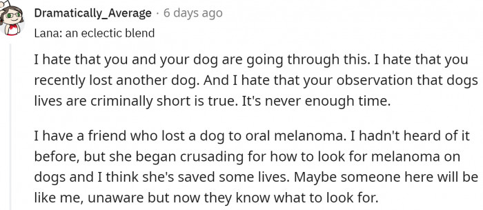 One Redditor noted that this post could help raise awareness about oral melanoma. Their friend lost a dog to that, but she helped save many dogs' lives afterward.