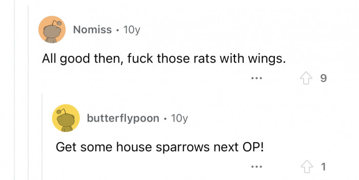 People apparently hate pigeons for some reason.