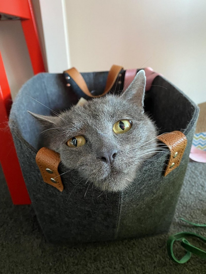 2. Hey hooman! Here feels so comfy...