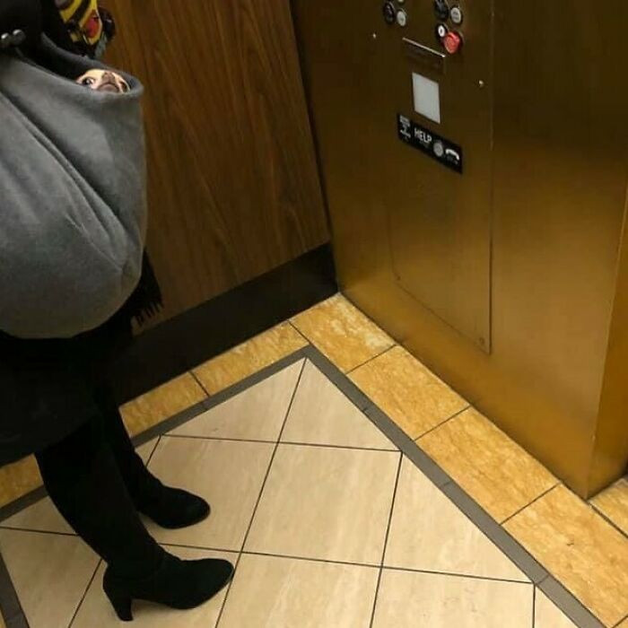 13. Yup, the dog is in the bag