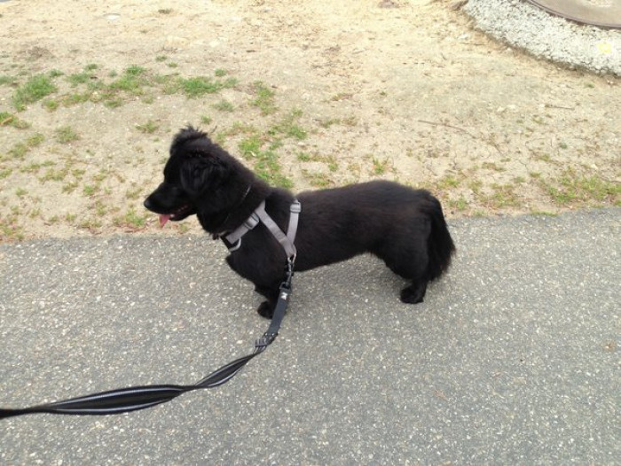 Mixes are also great