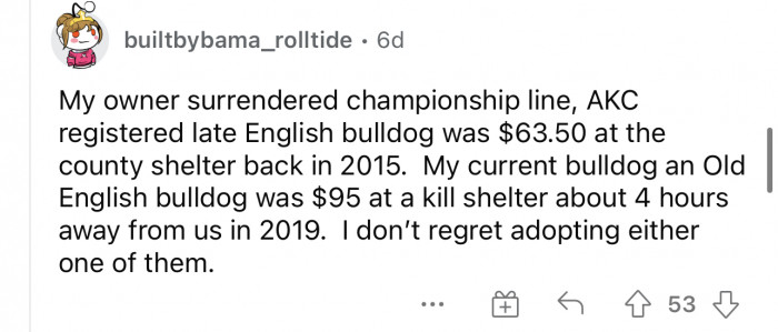 Adoption prices are still much lower nowadays. Always adopt.