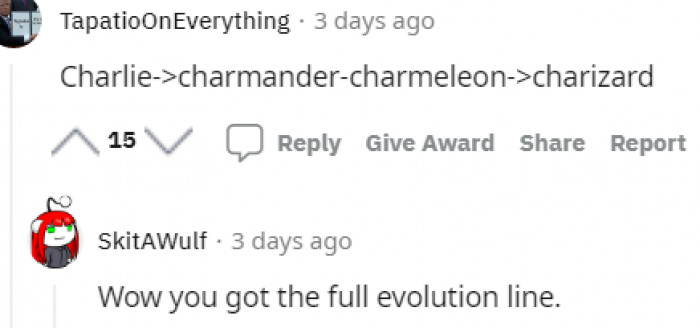 22. Someone's got the full evolution line