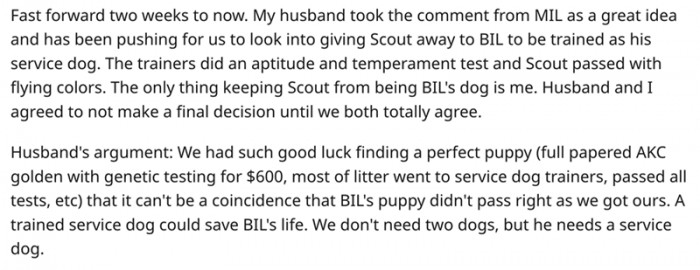 The trainers did an aptitude and temperament test