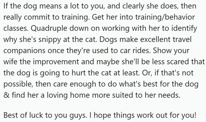 OP should get the dog into training/behavior classes.