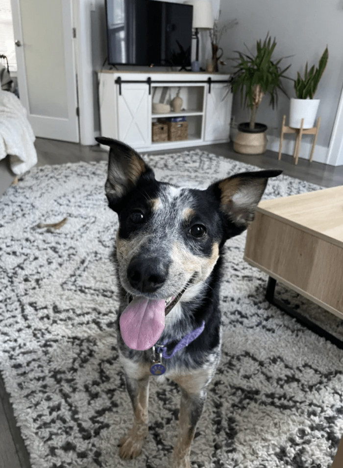 Awesome transformation