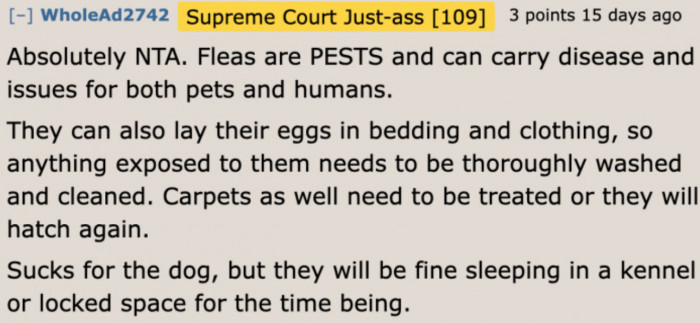 Fleas can transmit diseases to humans. It's best to have the dog sleep somewhere else while it has fleas.