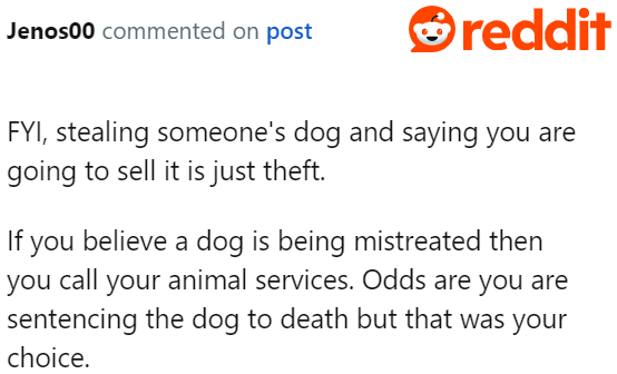 It's never right to steal a dog with the intention of selling it.