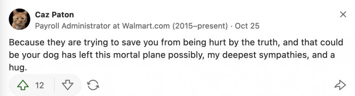 They tried to protect OP from the pain of losing a beloved childhood pet, but covering it up with another lie is not the way to go.