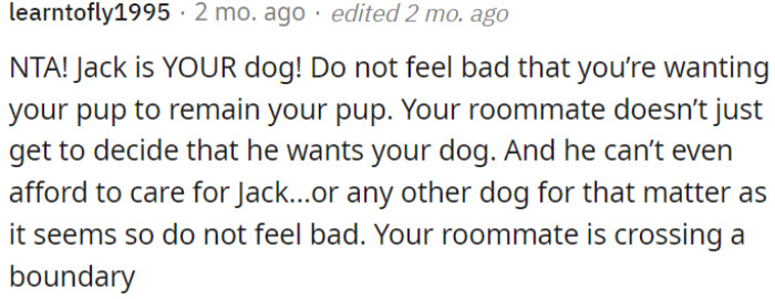 Jack is OP's dog.