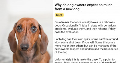 Dog Trainer Is Infuriated Over These Dog Owners For Expecting Too Much From A New Dog And Disobeying Precautions