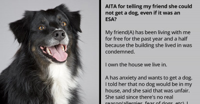 Woman Gets Called A-Hole By Her Freeloading Friend Because She Won’t Allow Her To Get A Dog