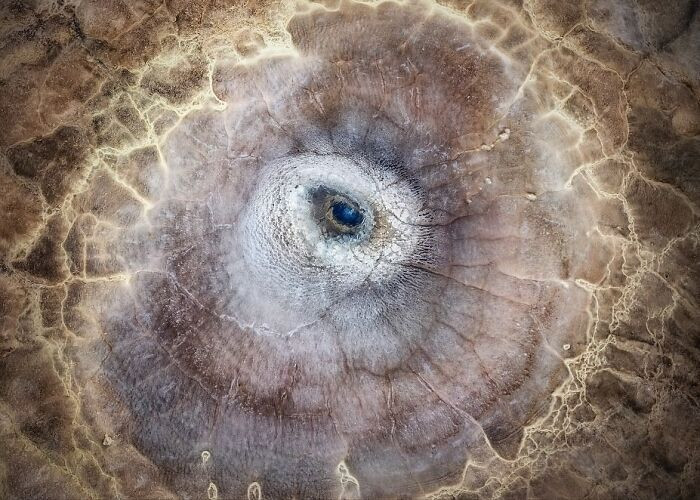 “The Eye” By Pawel Zygmunt