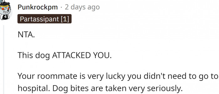 This Dog Attacked OP