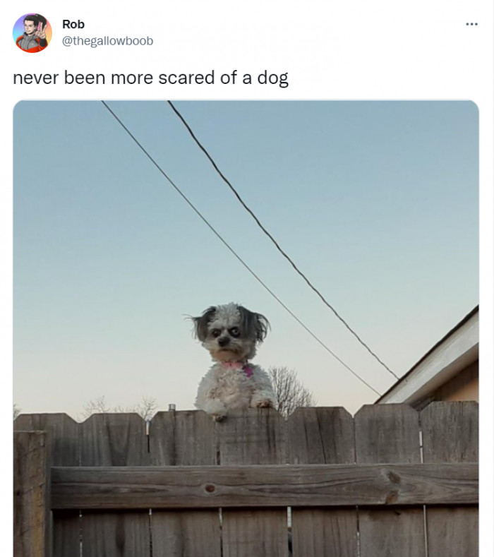 36. He knows your secrets