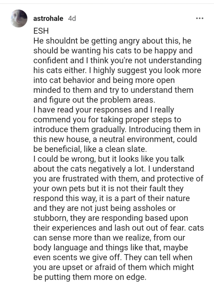 Looking more into cat behavior and being more open