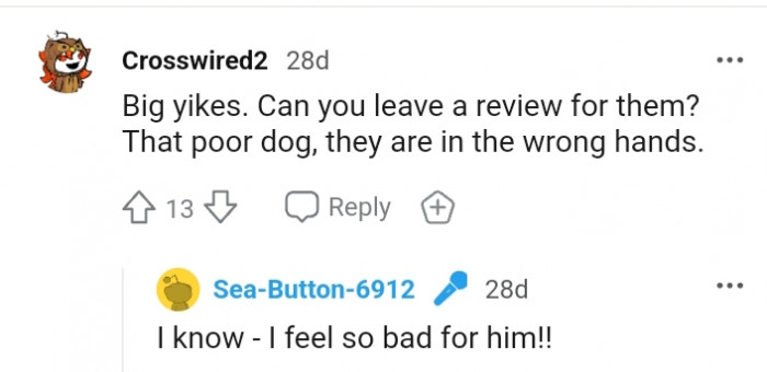 The poor dog is in the wrong hands