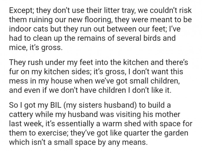 The OP has had to clean up the remains of several birds and mice