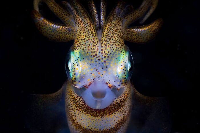 3rd Place Exploration Photographer Of The Year 2021 - Matty Smith
