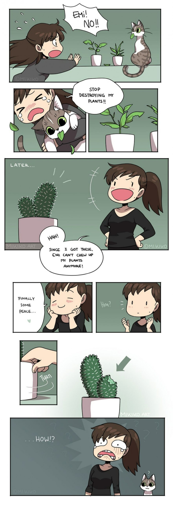 2. No plant is safe from a cat that absolutely wants to take a bite.