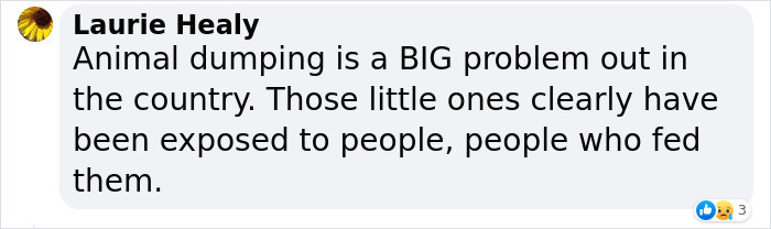 But at the end of the day, it's really tragic that those kittens had to suffer first.
