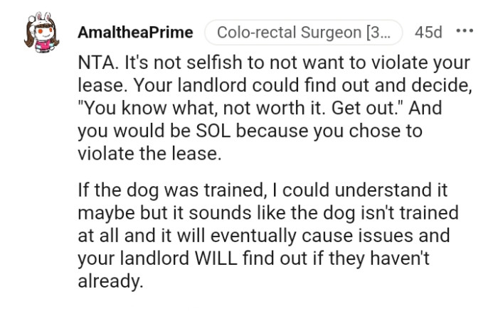 This Redditor would understand it if the dog was trained
