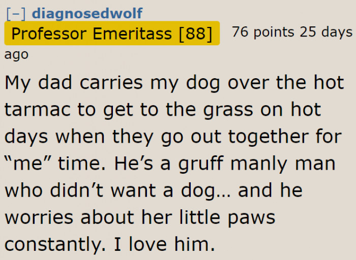 Even other people take their dogs outside when it's hot. They just do something about the heat to make the walk bearable for their beloved pets.