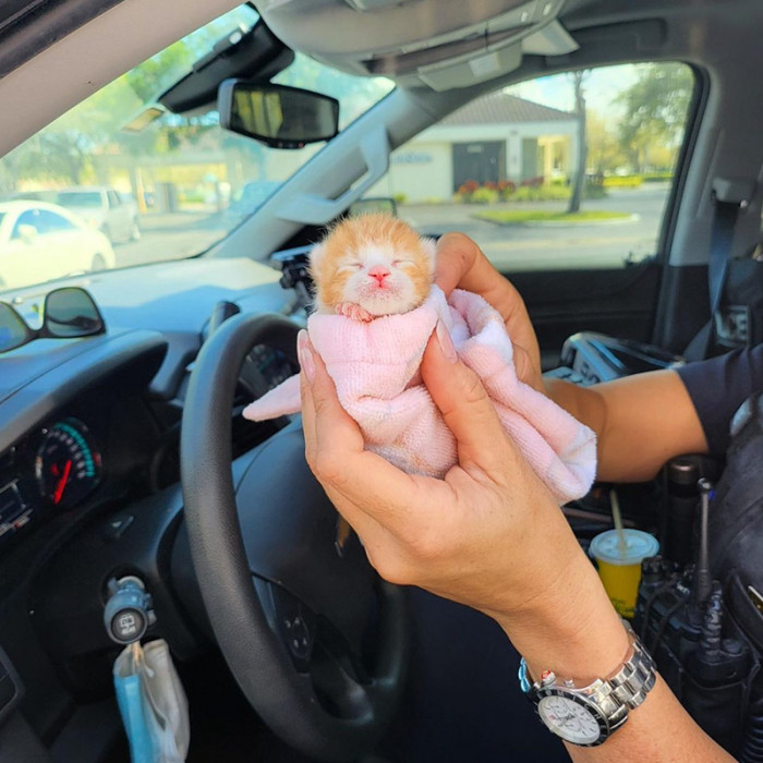 Too. Much. Cuteness!!!