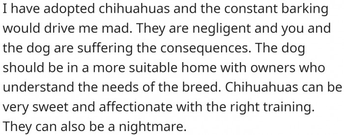 "They are negligent, and you and the dog are suffering the consequences."