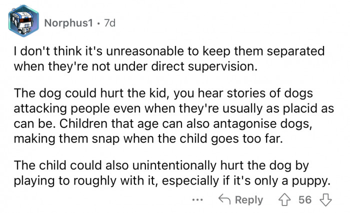 Children that age tend to torment dogs.