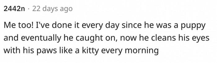 This dog now cleans his eyes after he caught on to how it's done