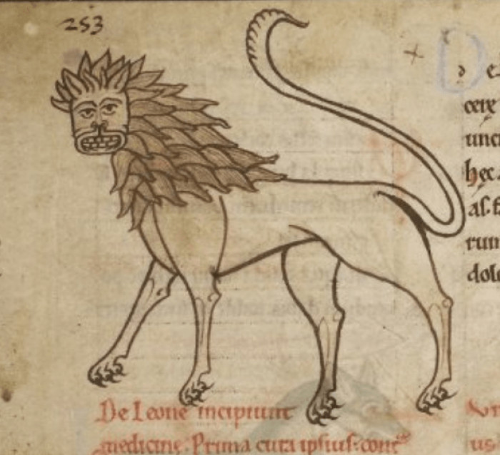 19. Medieval drawing of a lion.