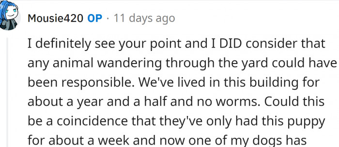 Person considering calm neighbor communication about puppy deworming and worm risk