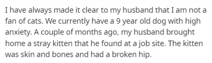 The husband found a stray kitten at a job site, and he couldn't resist bringing it back home since it was in awful shape.