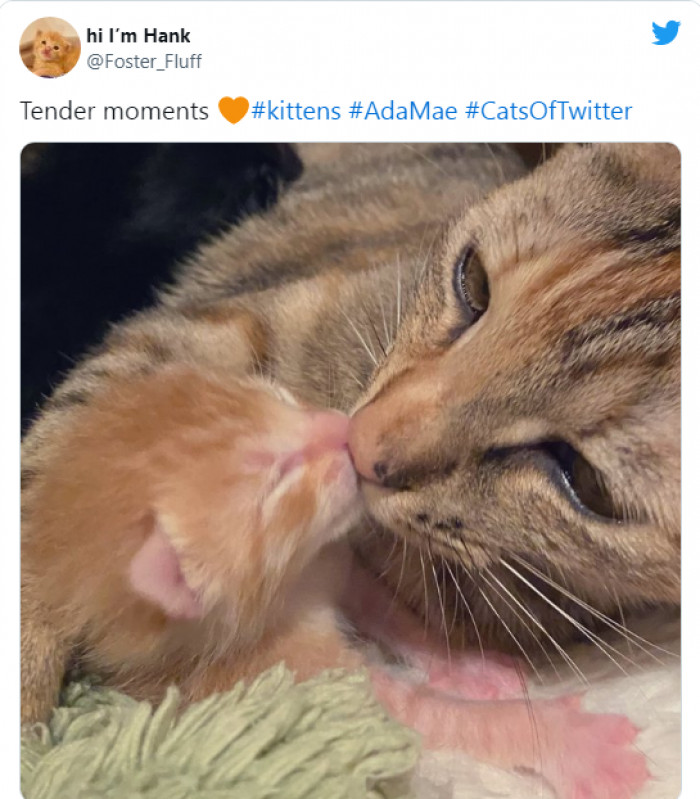 11. Who's cutting onions in here?