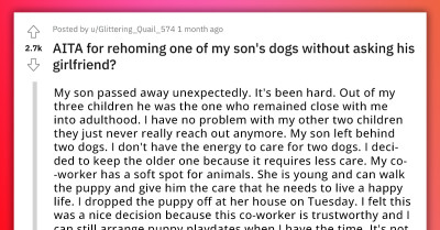 Woman Rehomes Her Late Son's Dog Without Informing His Girlfriend, Gets Told Harsh Words