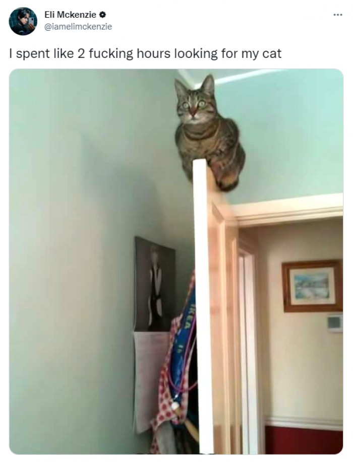 17. Master of hide and seek