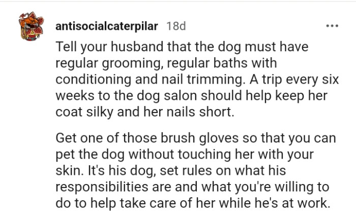 A trip every six weeks to the dog's salon