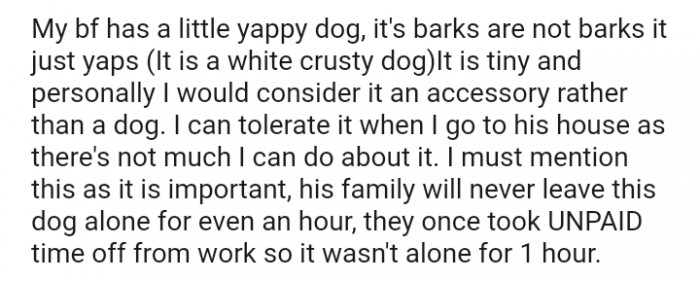 Her BF has a little yappy dog