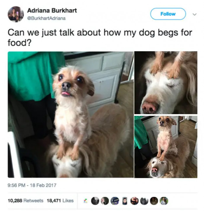 3. A Smooth Operation