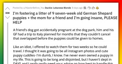 Redditor Cries Out After "Foolishly" Accepting To Take Care Of A Litter Of 9 Puppies Along With Their Mom