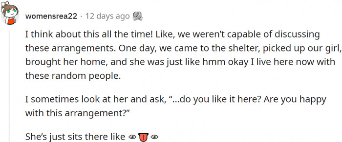 It turns out that dog owners do think about things like these: