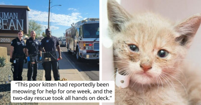 Firefighters And Rescue Workers Save A Kitten That’s Been Stuck In A Drain For A Week
