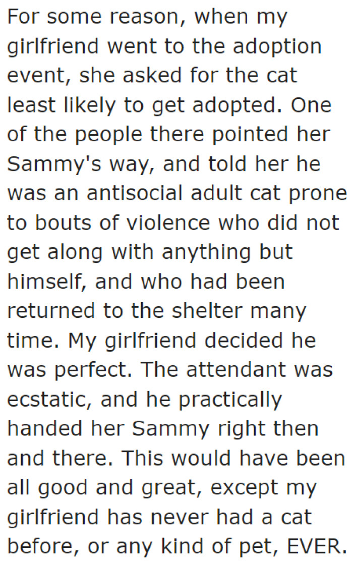 The girlfriend asked for a cat that will unlikely get adopted.