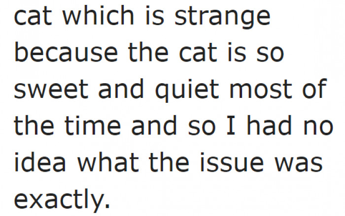 Unfortunately, he isn't fond of cats.