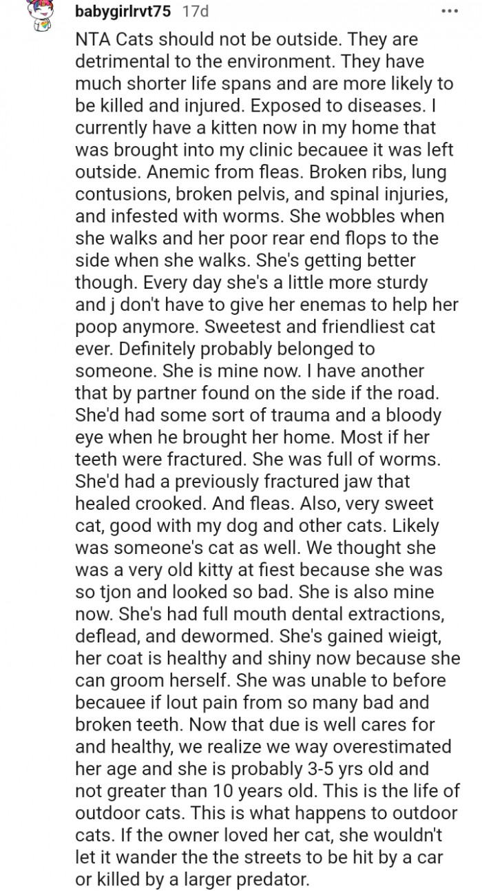 This is what happens to outdoor cats