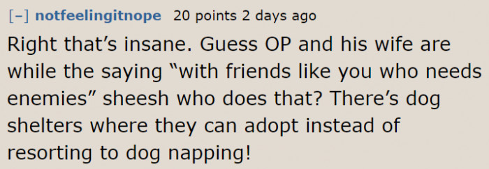 So Many Dogs Out There Need Love, and Yet They Choose to Dognap.